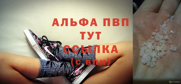 стаф Верея