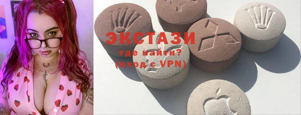 стаф Верея