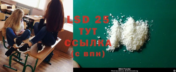 стаф Верея
