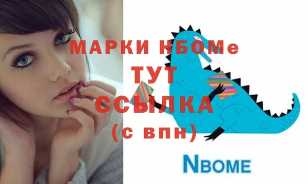 стаф Верея