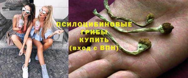 стаф Верея