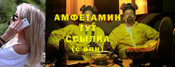стаф Верея