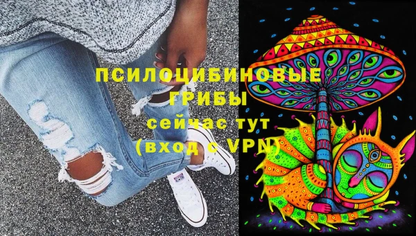 стаф Верея