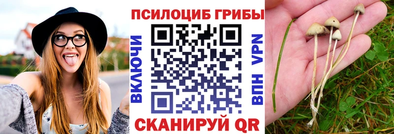 Галлюциногенные грибы мицелий  Глазов 